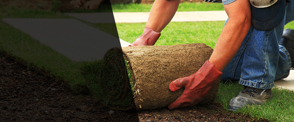 Cross Plains Landscapers